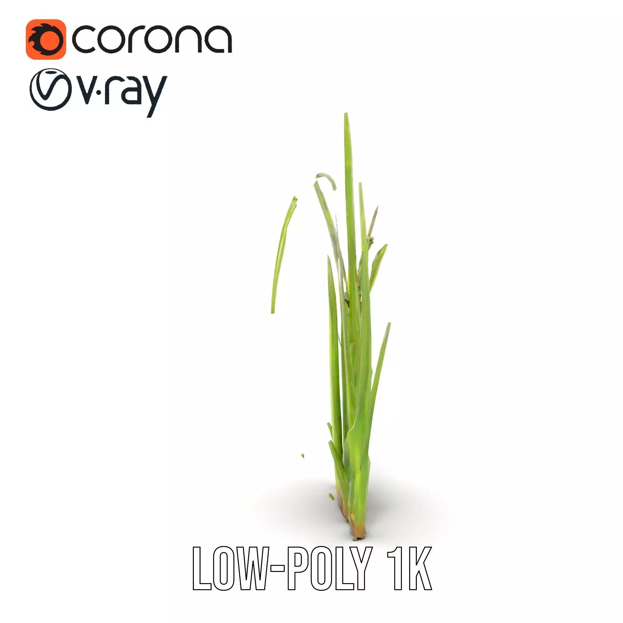 Vibrant Grass Blade model pack Low-poly 3D model_22