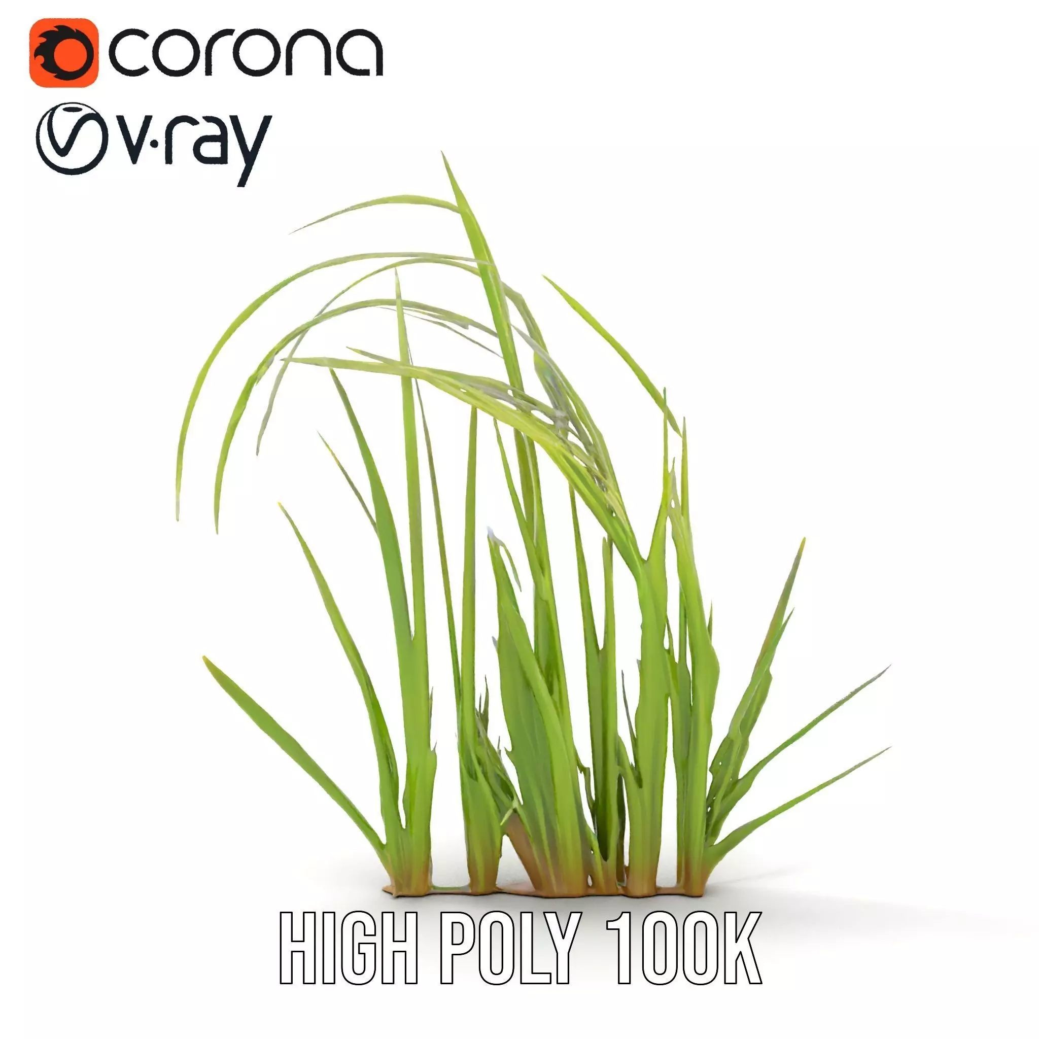 Vibrant Grass Blade model pack Low-poly 3D model_17