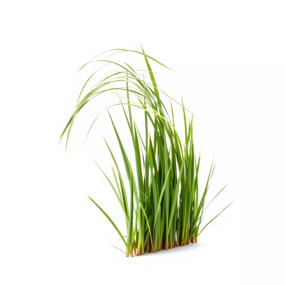 Vibrant Grass Blade model pack Low-poly 3D model_3