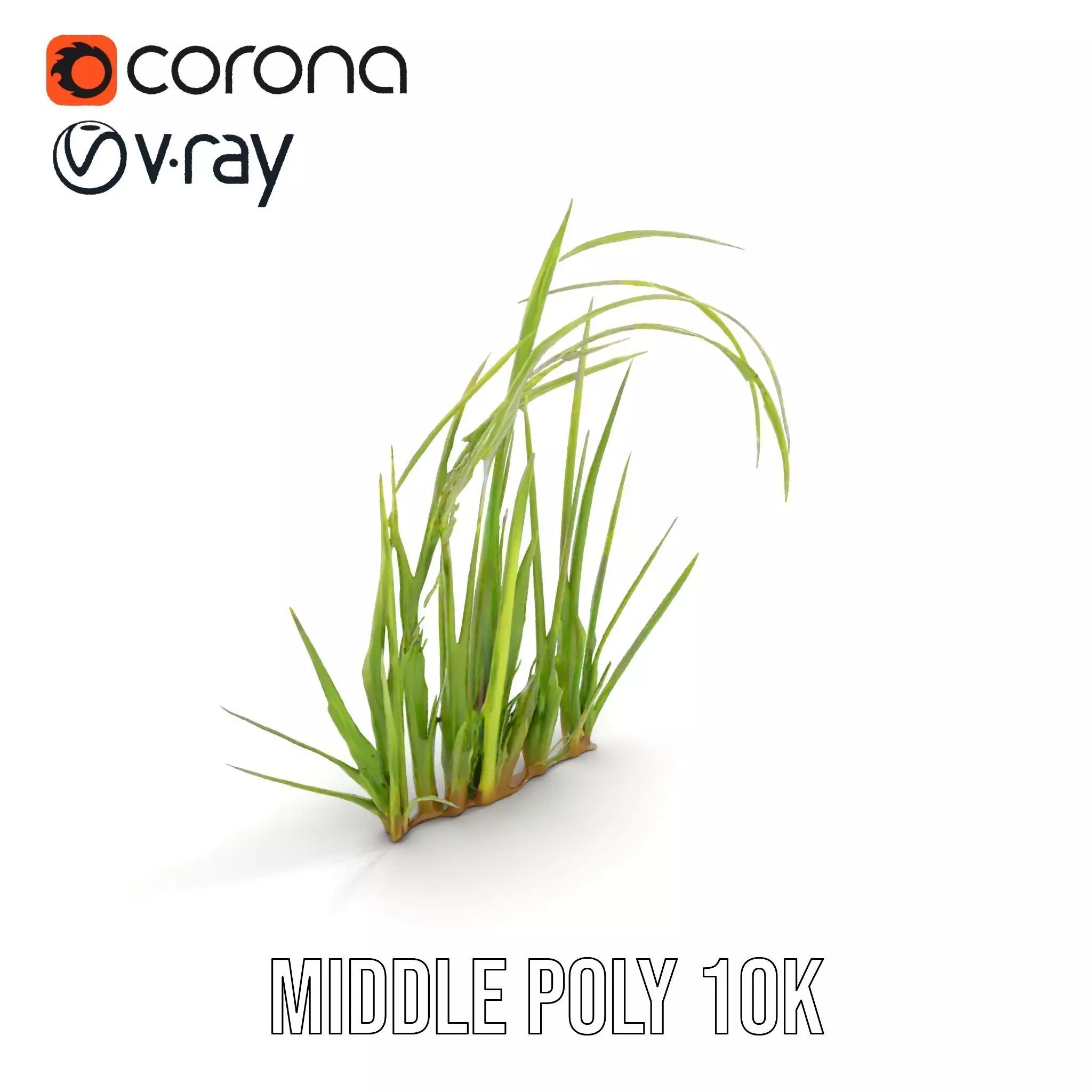 Vibrant Grass Blade model pack Low-poly 3D model_7