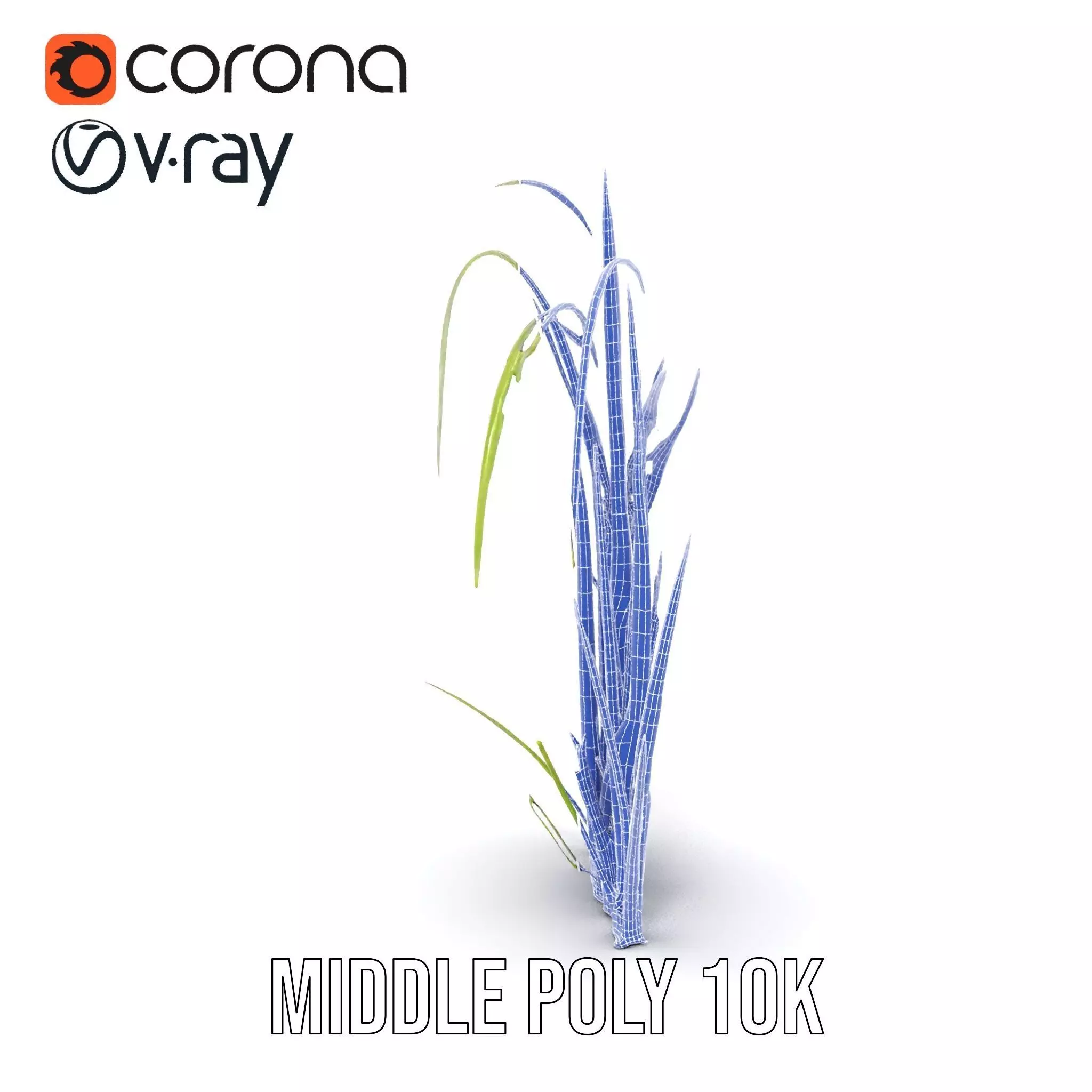 Vibrant Grass Blade model pack Low-poly 3D model_30