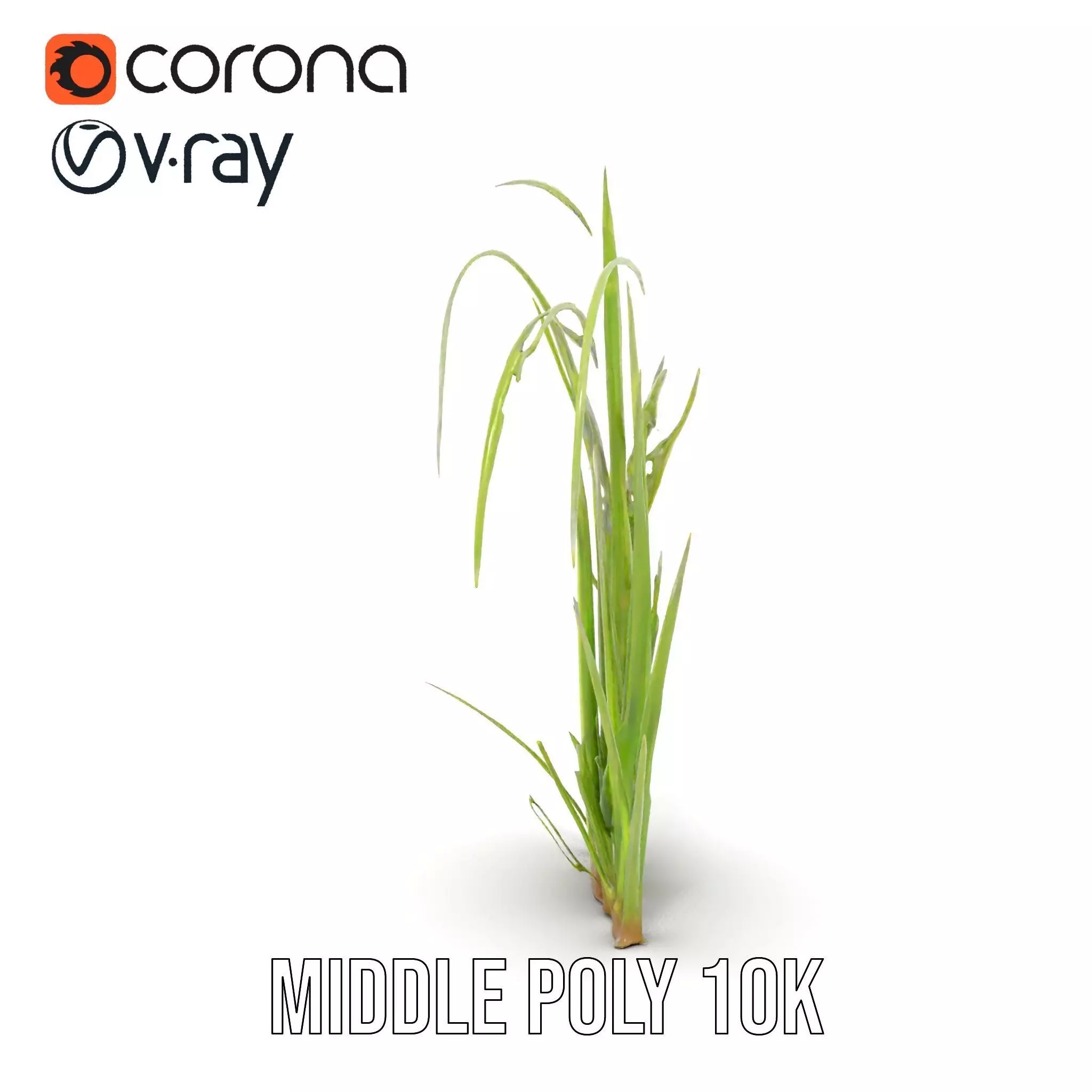 Vibrant Grass Blade model pack Low-poly 3D model_15