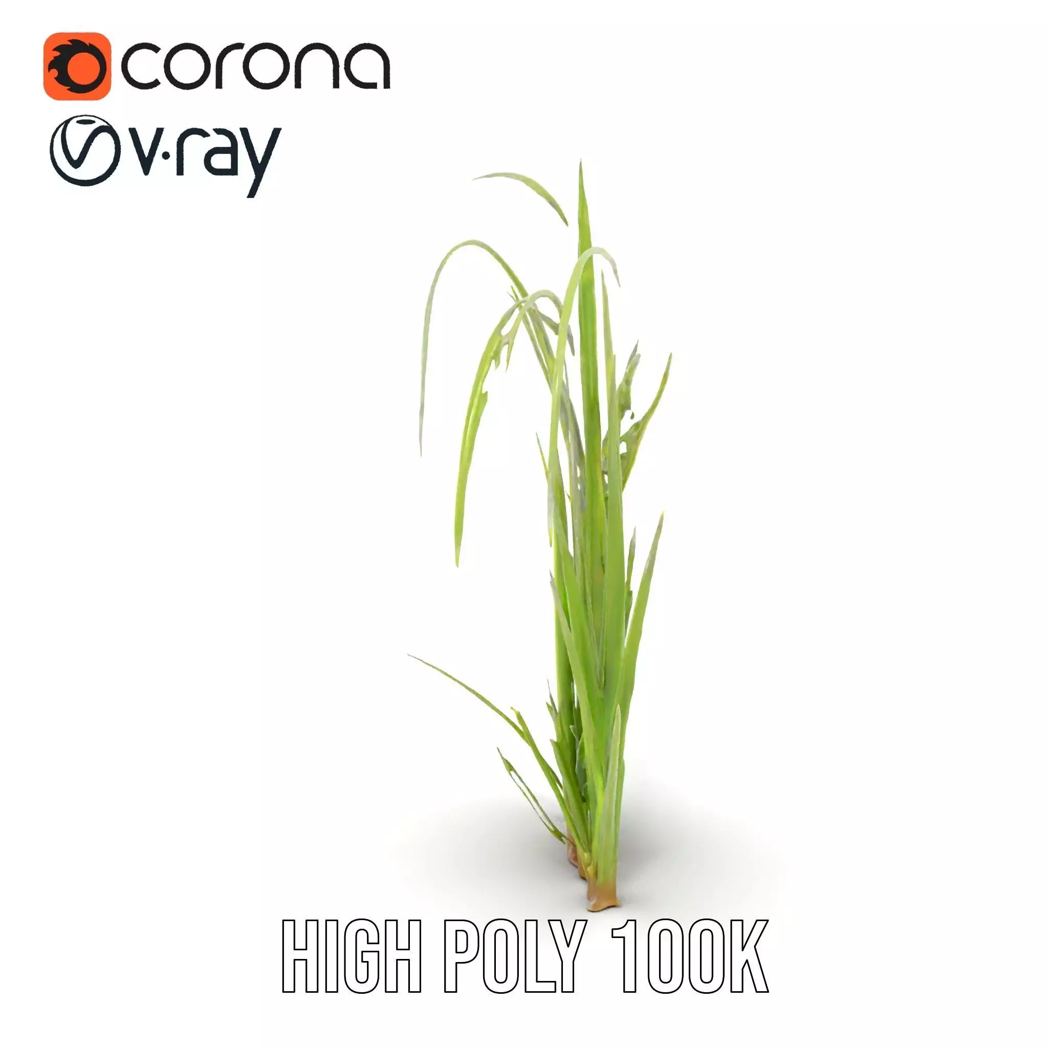 Vibrant Grass Blade model pack Low-poly 3D model_23