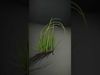 Vibrant Grass Blade model pack Low-poly 3D model_2