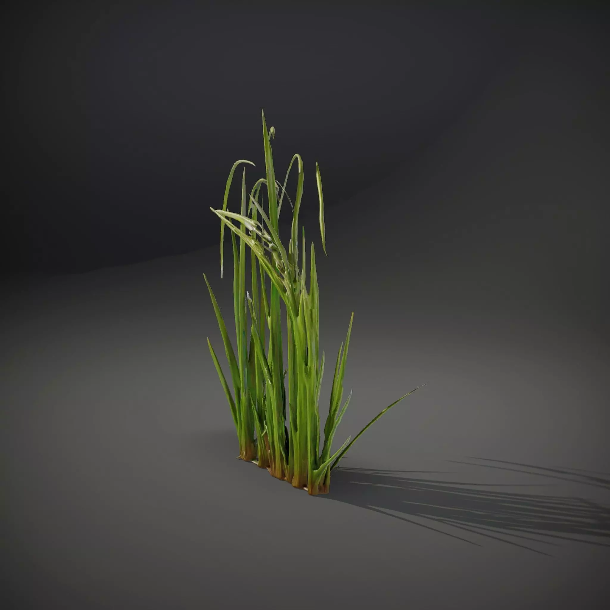 Vibrant Grass Blade model pack Low-poly 3D model_34