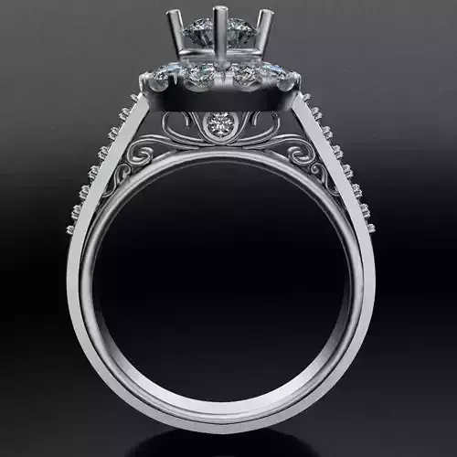 Gorgeous diamond ring with support