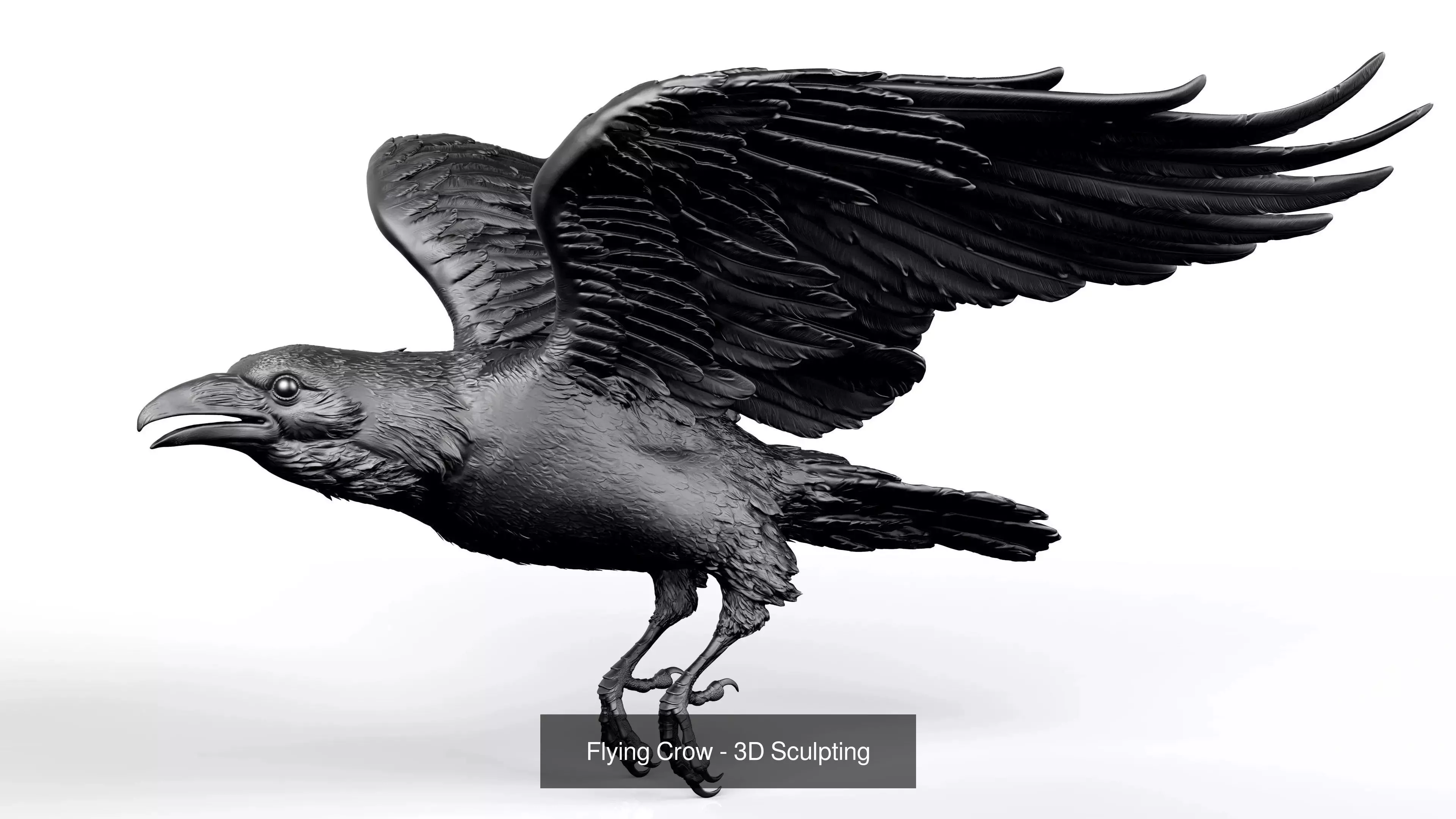 5 Crows 3D Model Collection_7