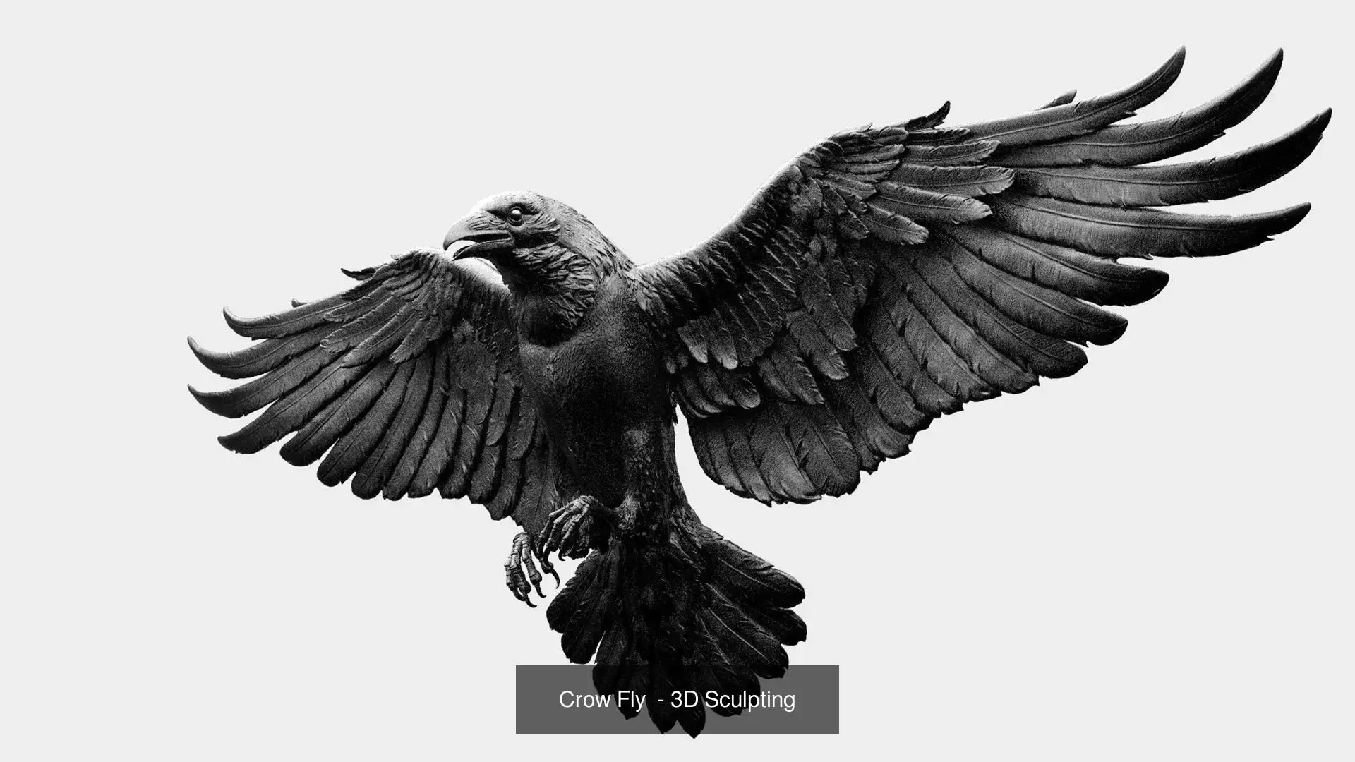 5 Crows 3D Model Collection_8