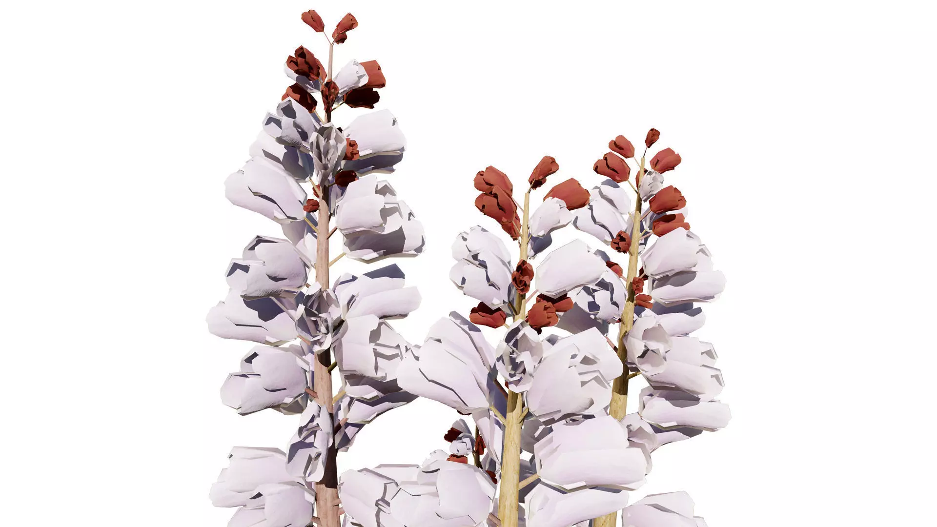 British Thyme Broomrape 3D Model Low-poly 3D model_7