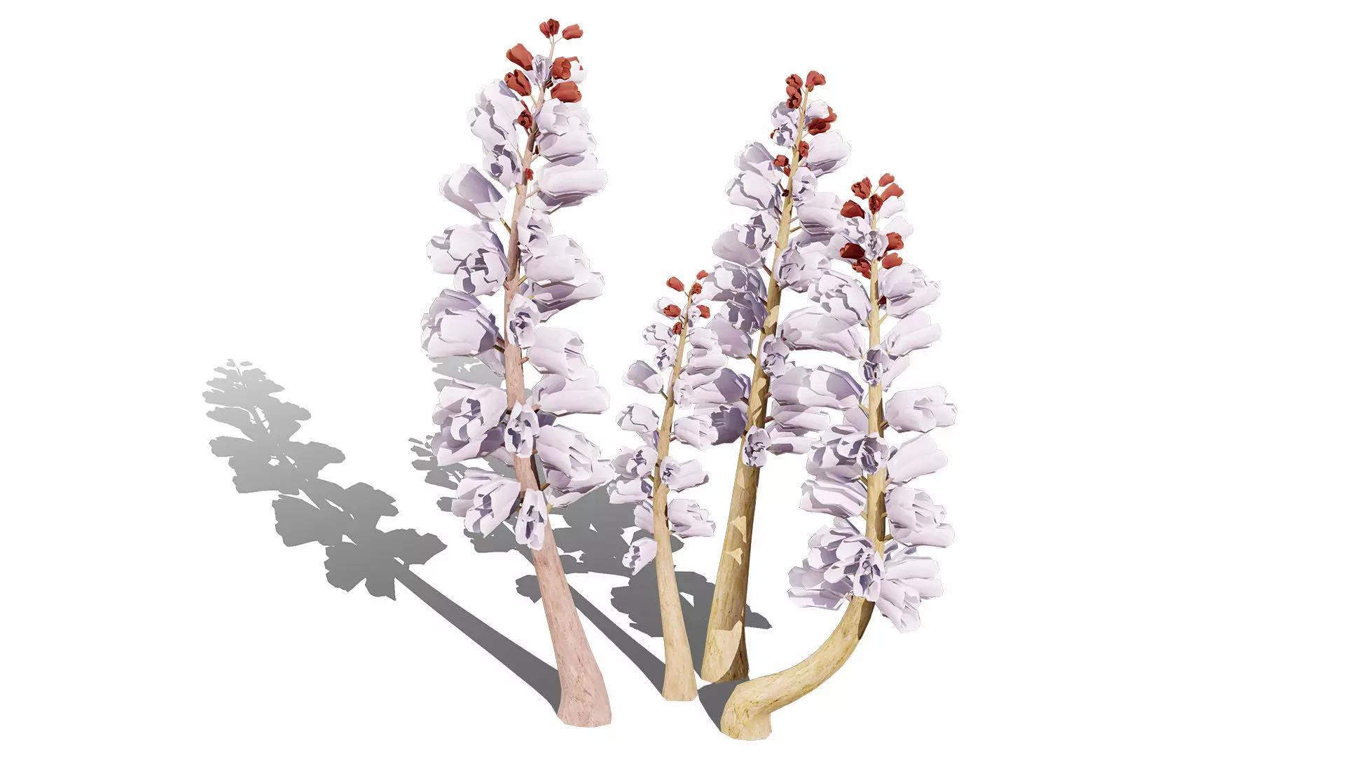 British Thyme Broomrape 3D Model Low-poly 3D model_3