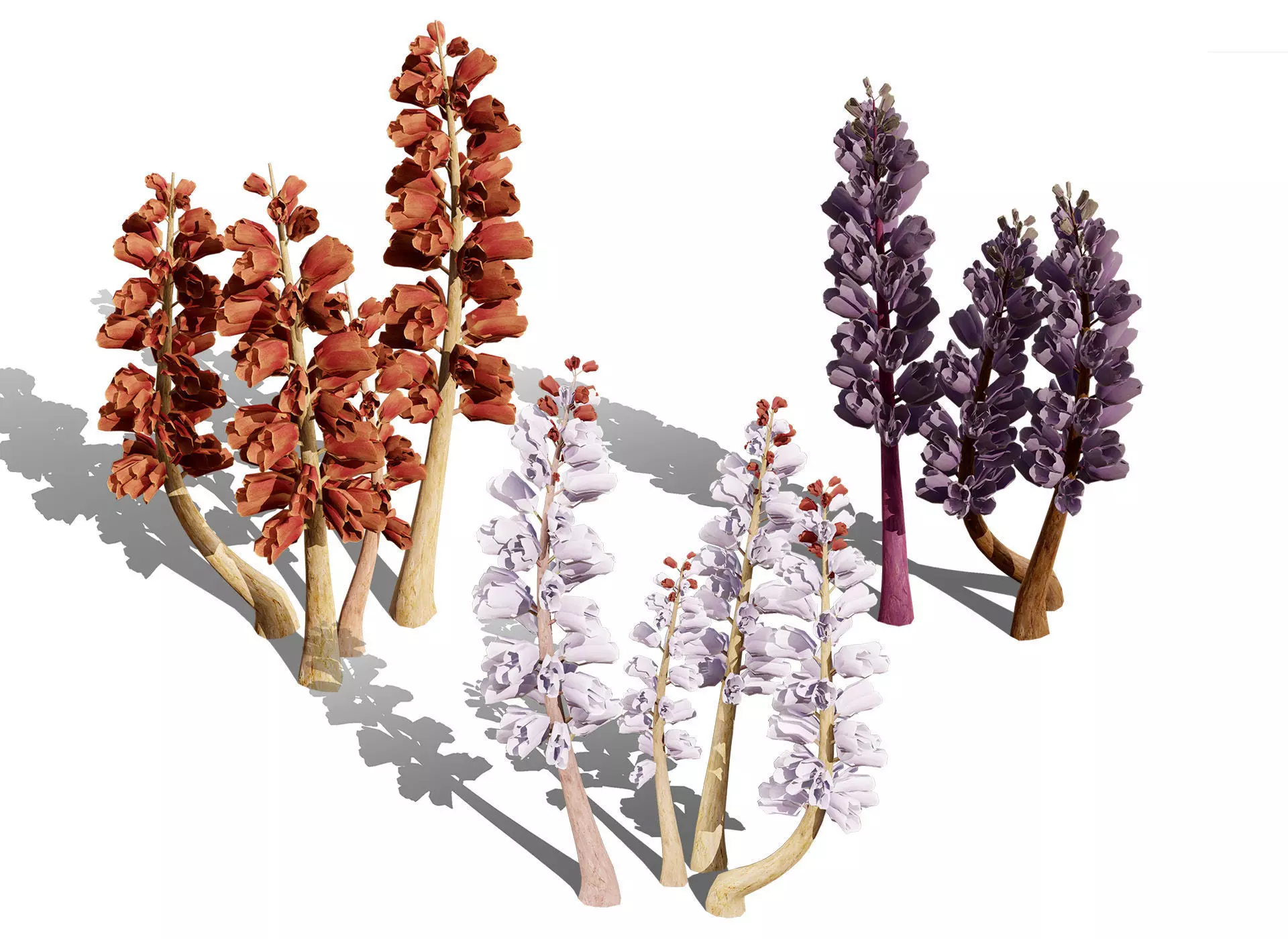 British Thyme Broomrape 3D Model Low-poly 3D model_2