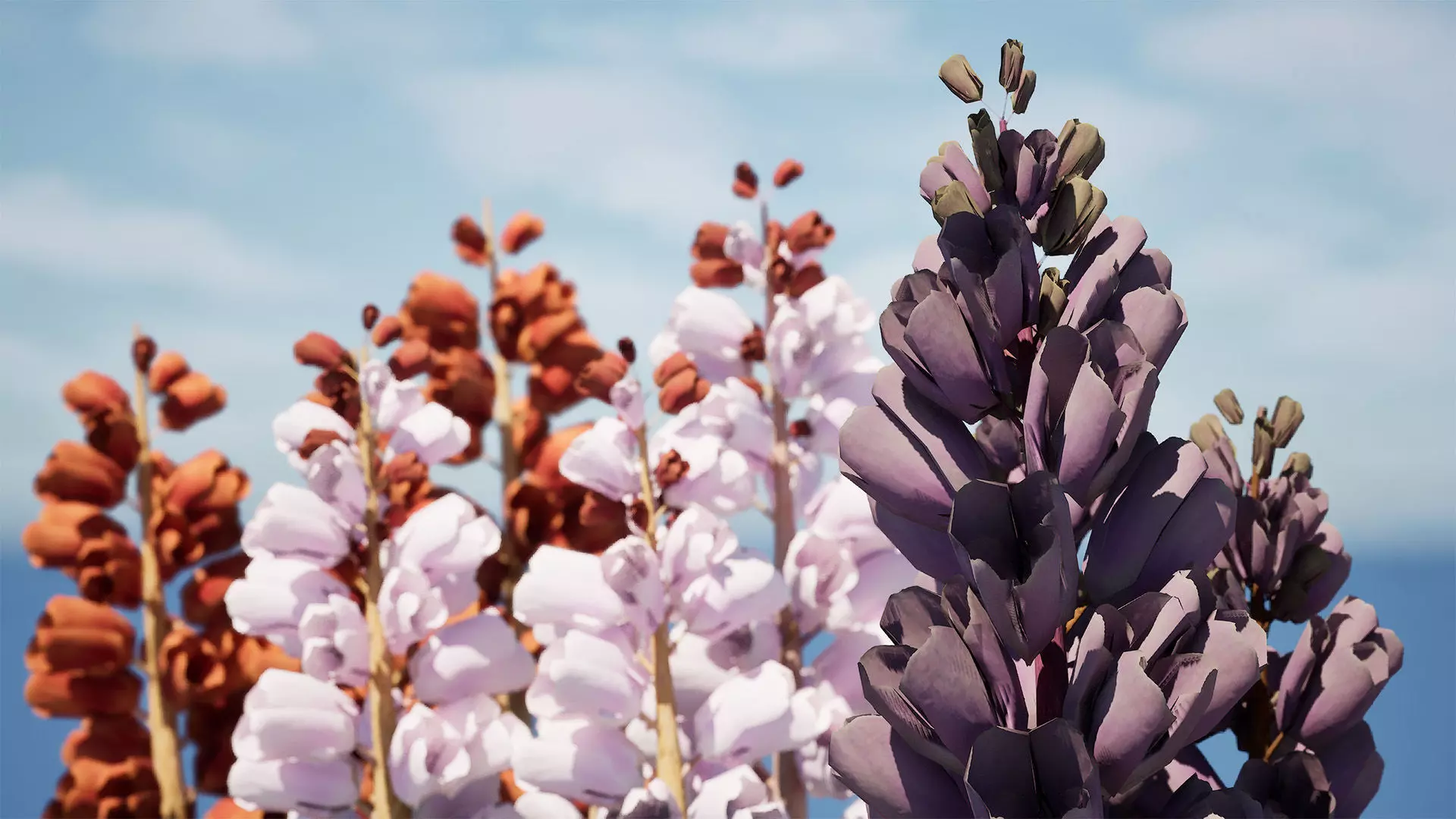 British Thyme Broomrape 3D Model Low-poly 3D model_9