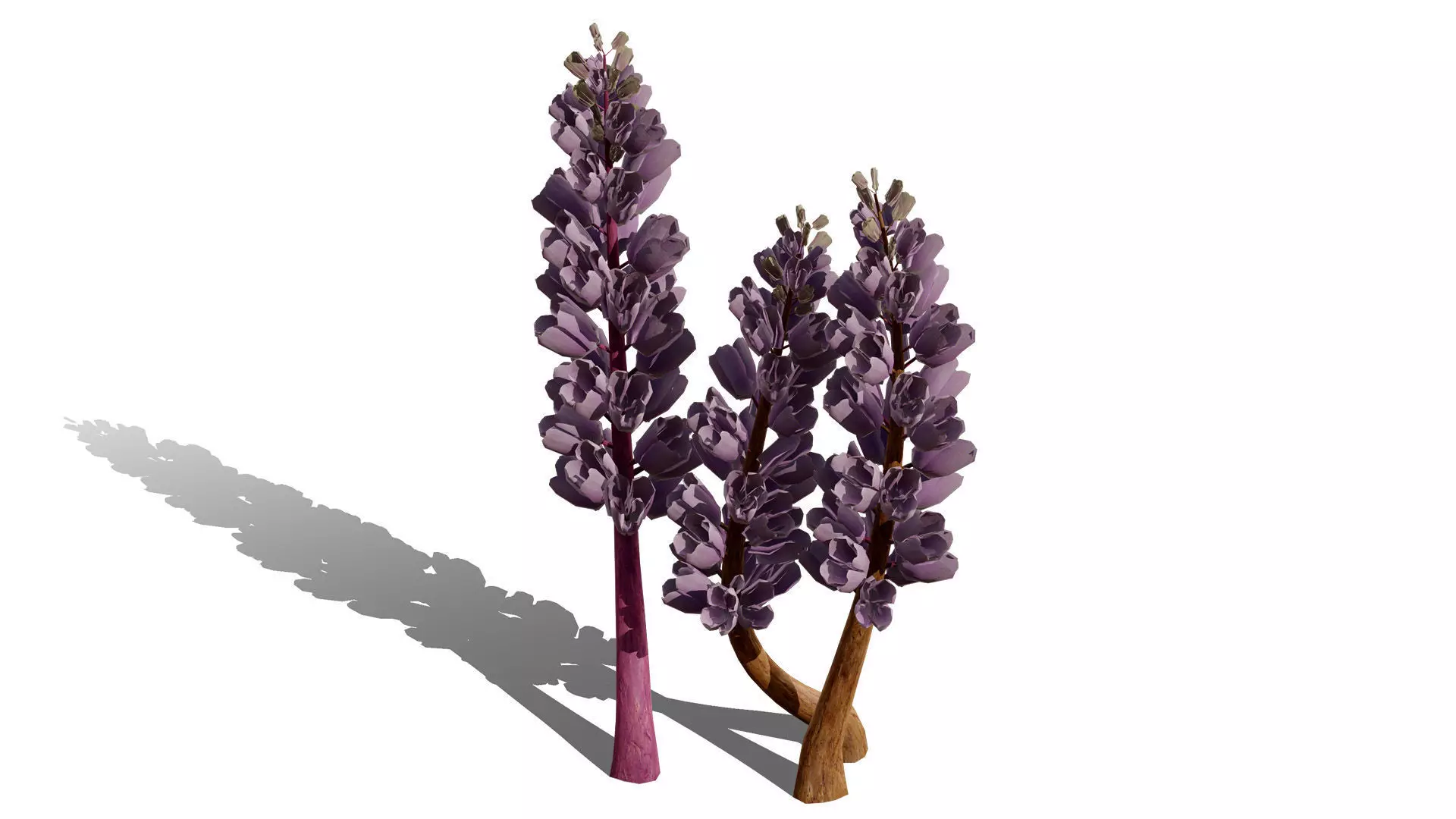 British Thyme Broomrape 3D Model Low-poly 3D model_4