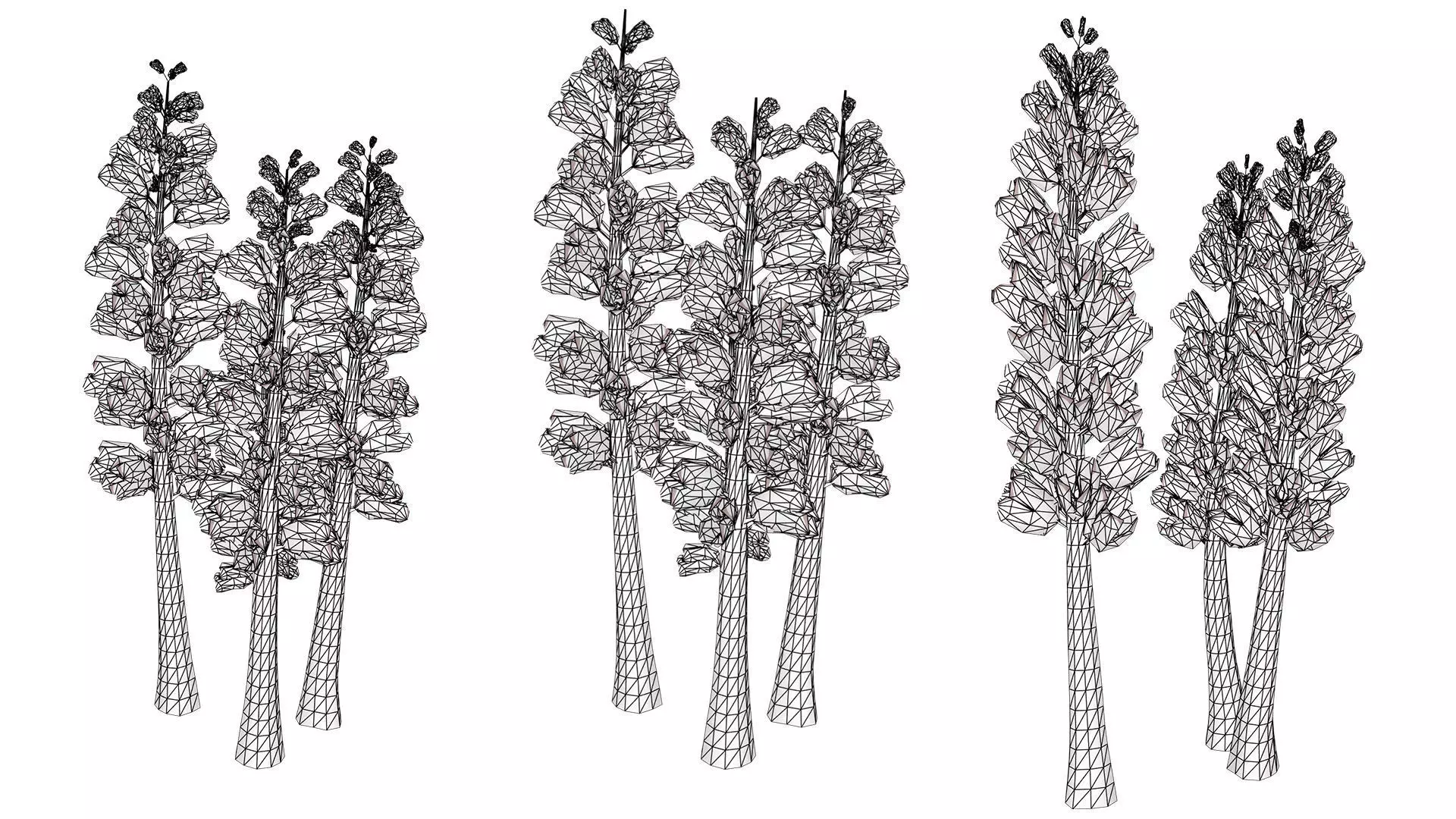 British Thyme Broomrape 3D Model Low-poly 3D model_11