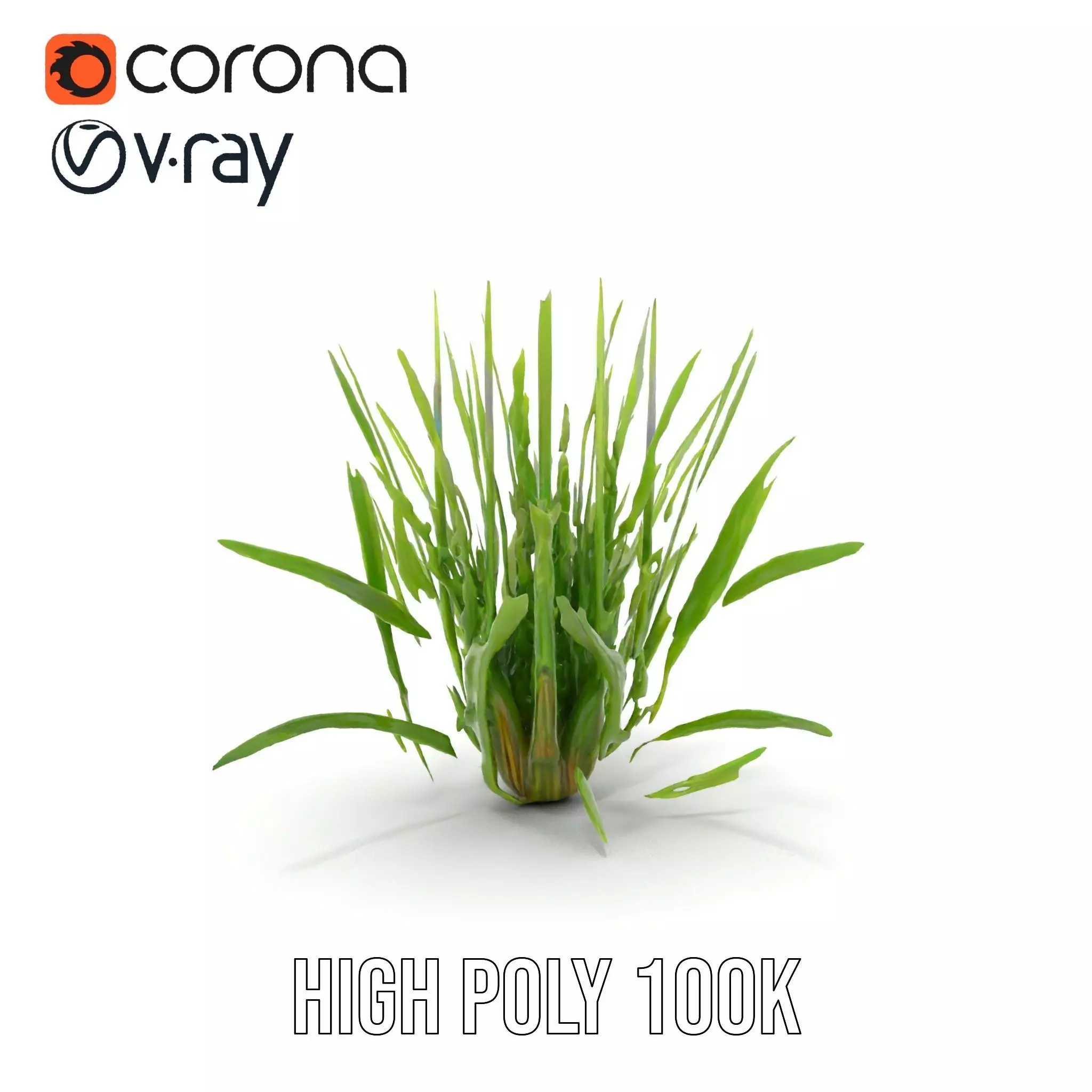 Green Grass Cluster model pack Low-poly 3D model_33