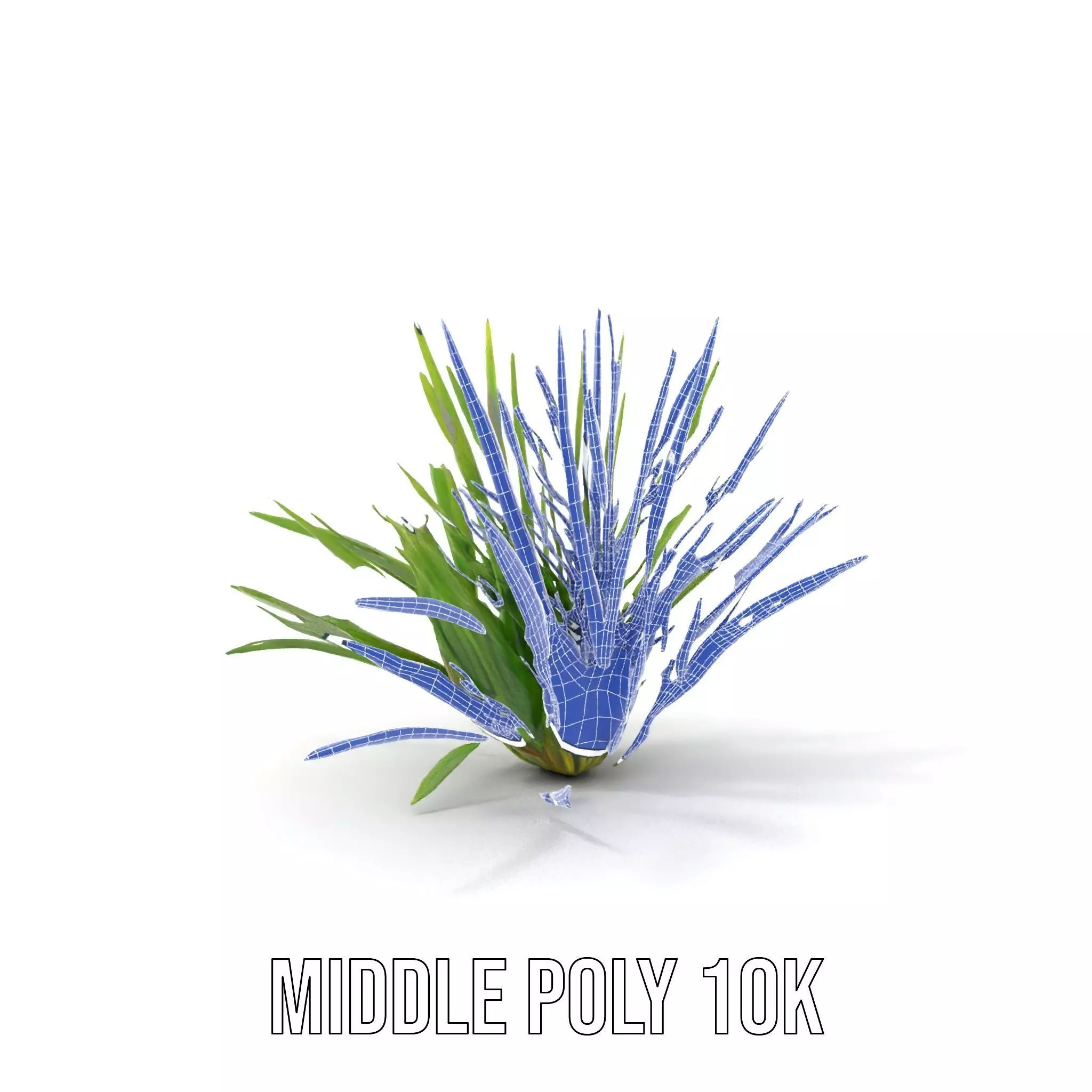 Green Grass Cluster model pack Low-poly 3D model_12