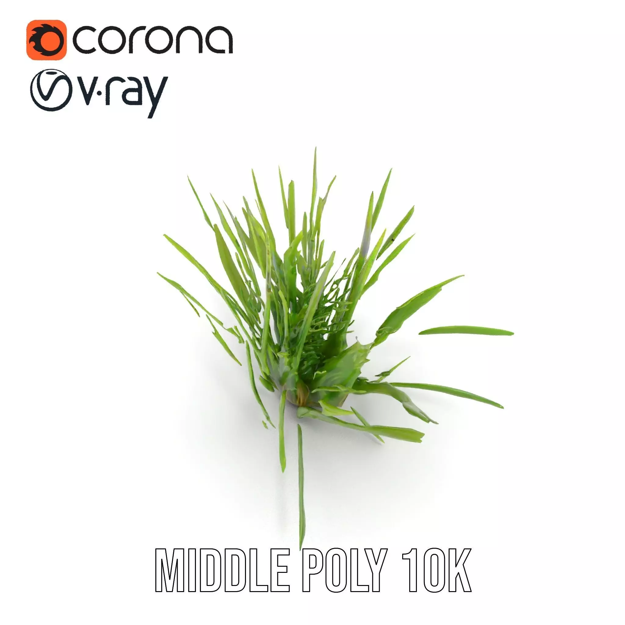 Green Grass Cluster model pack Low-poly 3D model_25