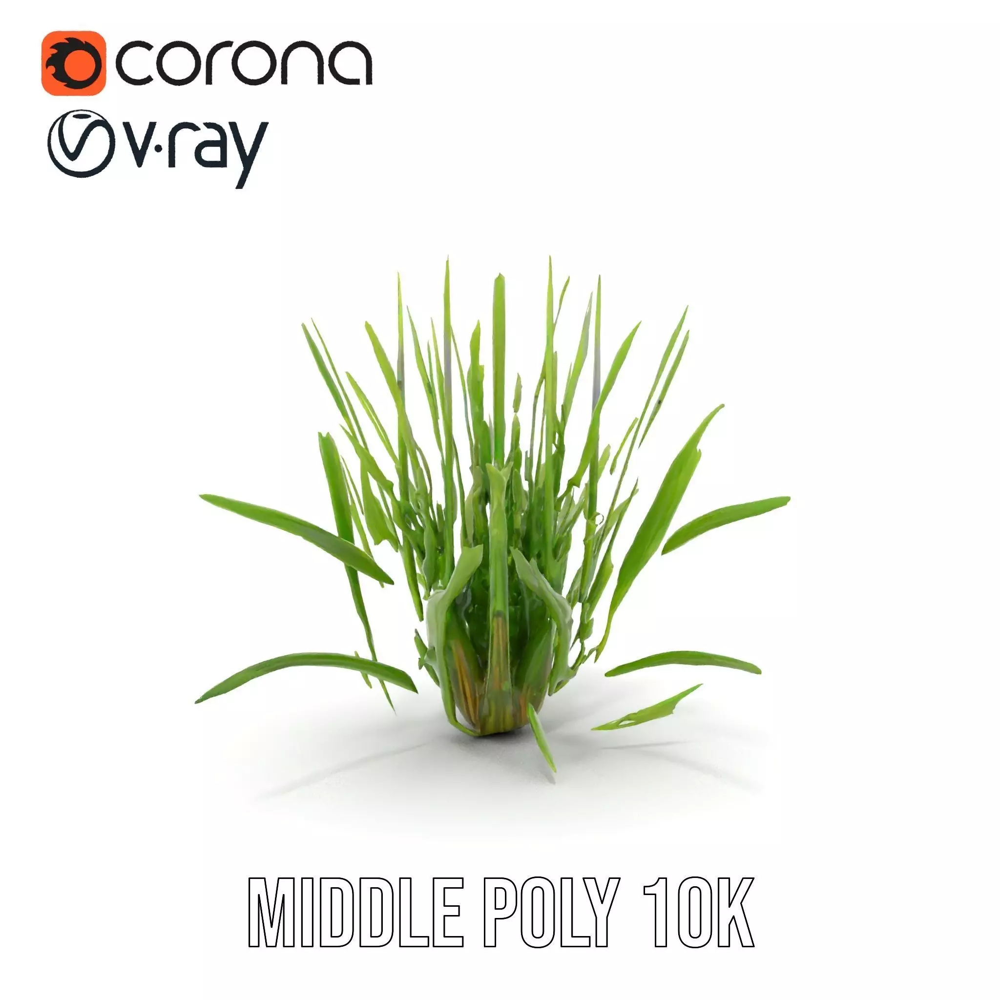 Green Grass Cluster model pack Low-poly 3D model_7