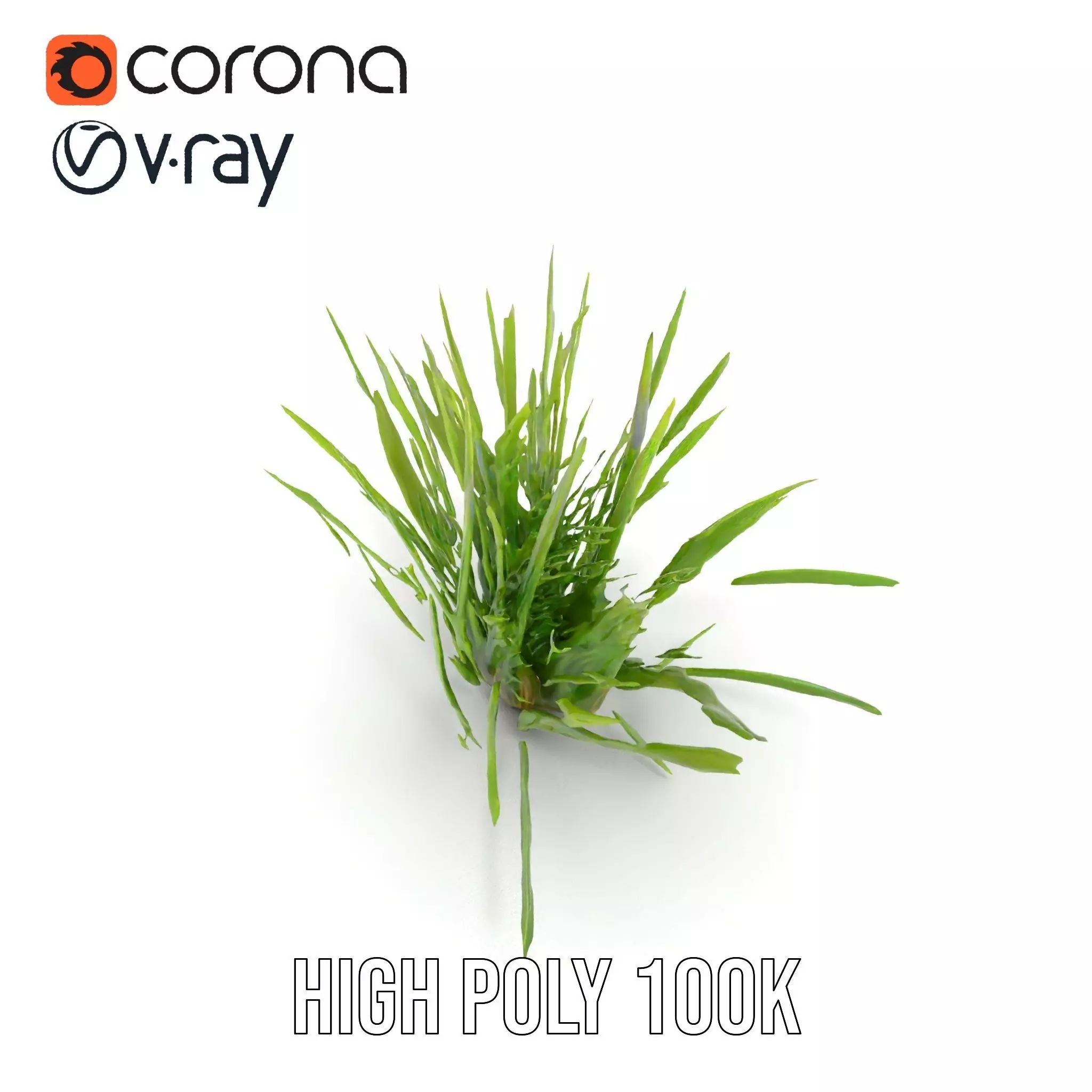 Green Grass Cluster model pack Low-poly 3D model_19