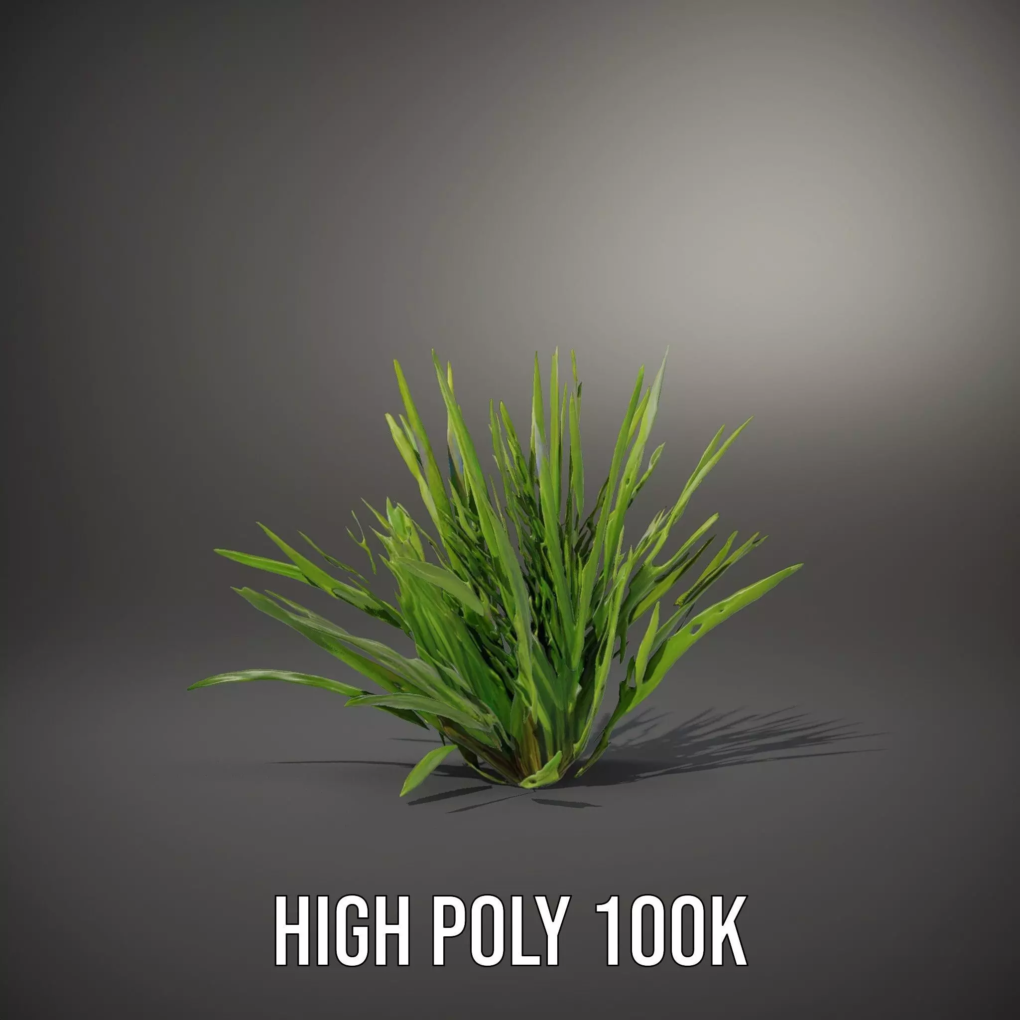 Green Grass Cluster model pack Low-poly 3D model_11