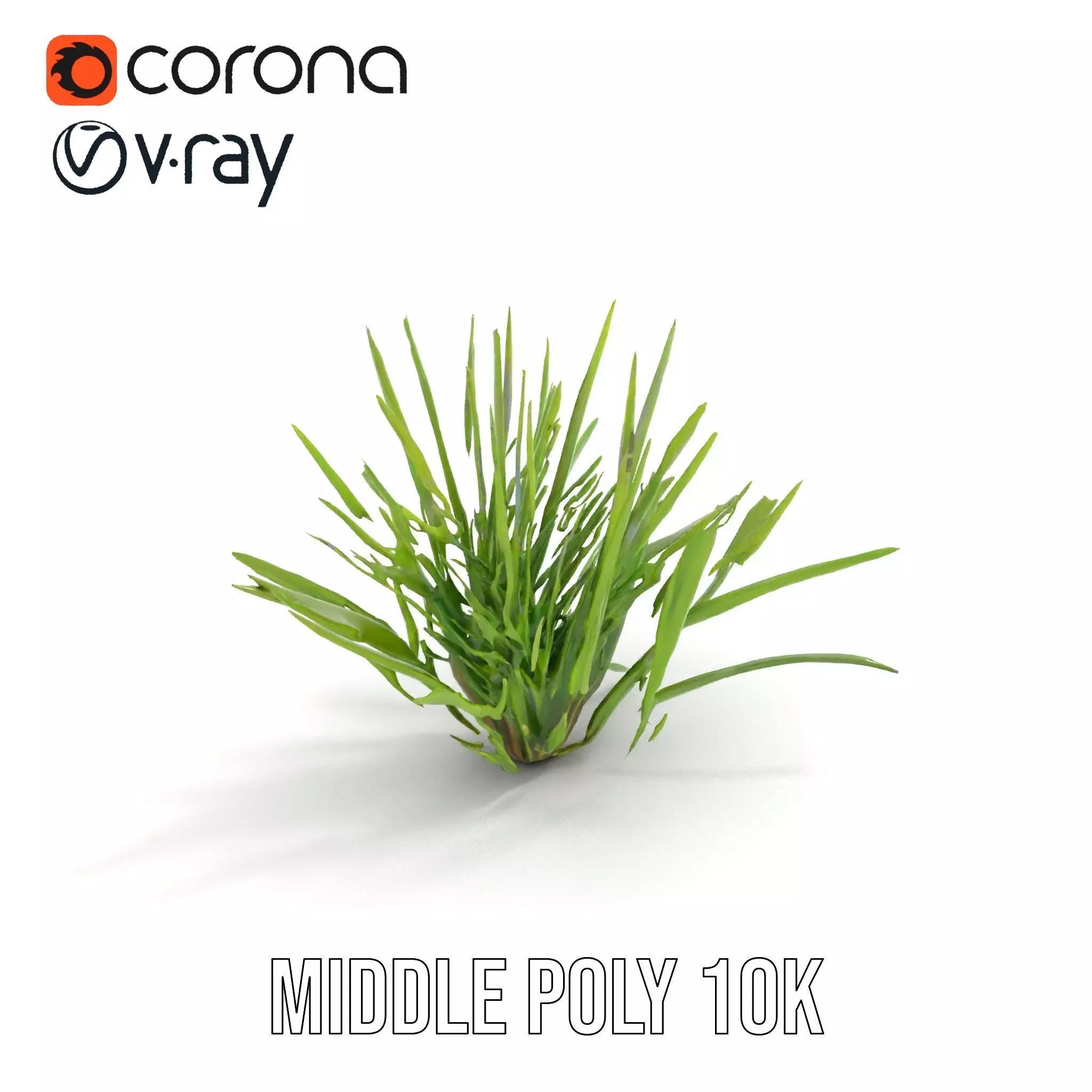 Green Grass Cluster model pack Low-poly 3D model_17