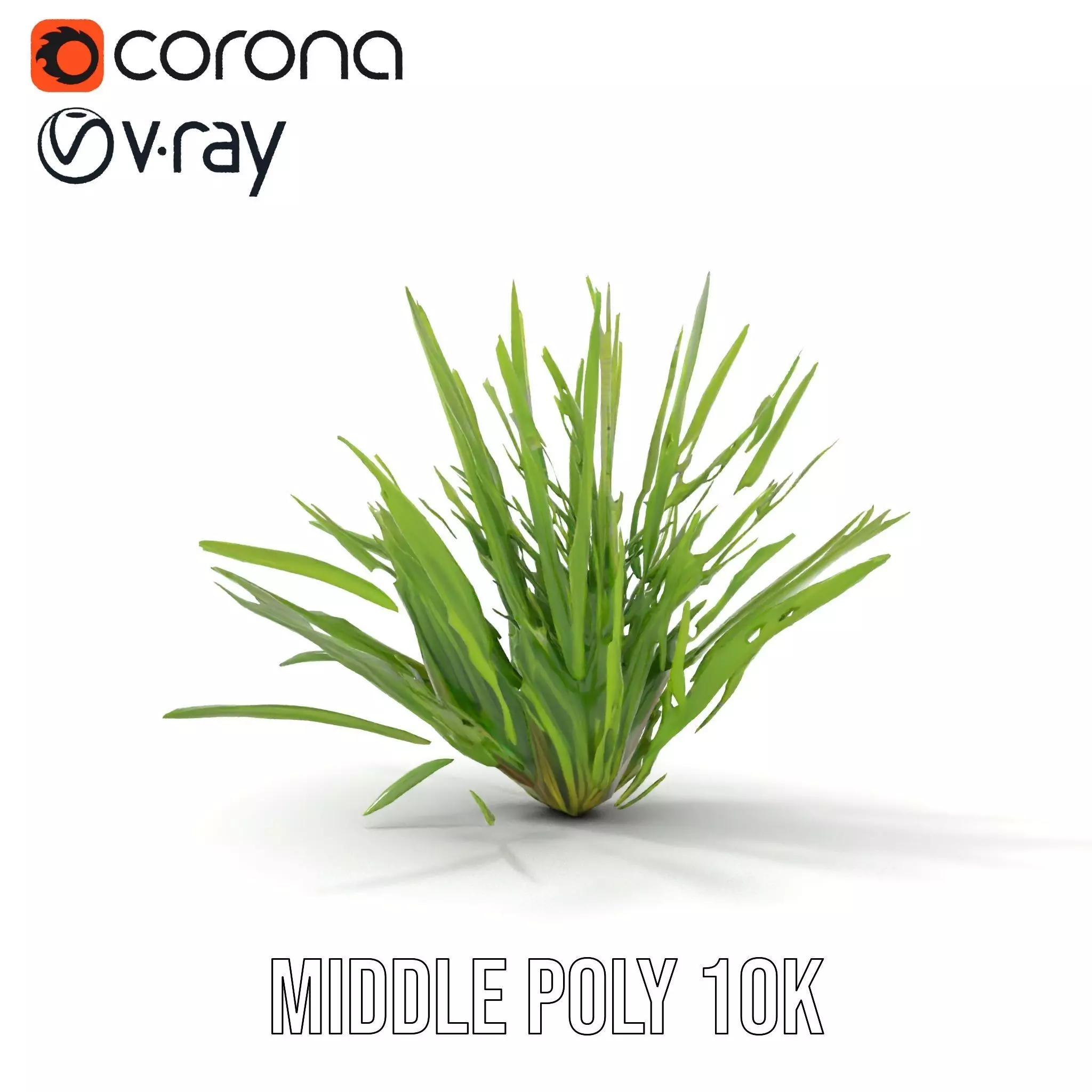 Green Grass Cluster model pack Low-poly 3D model_6