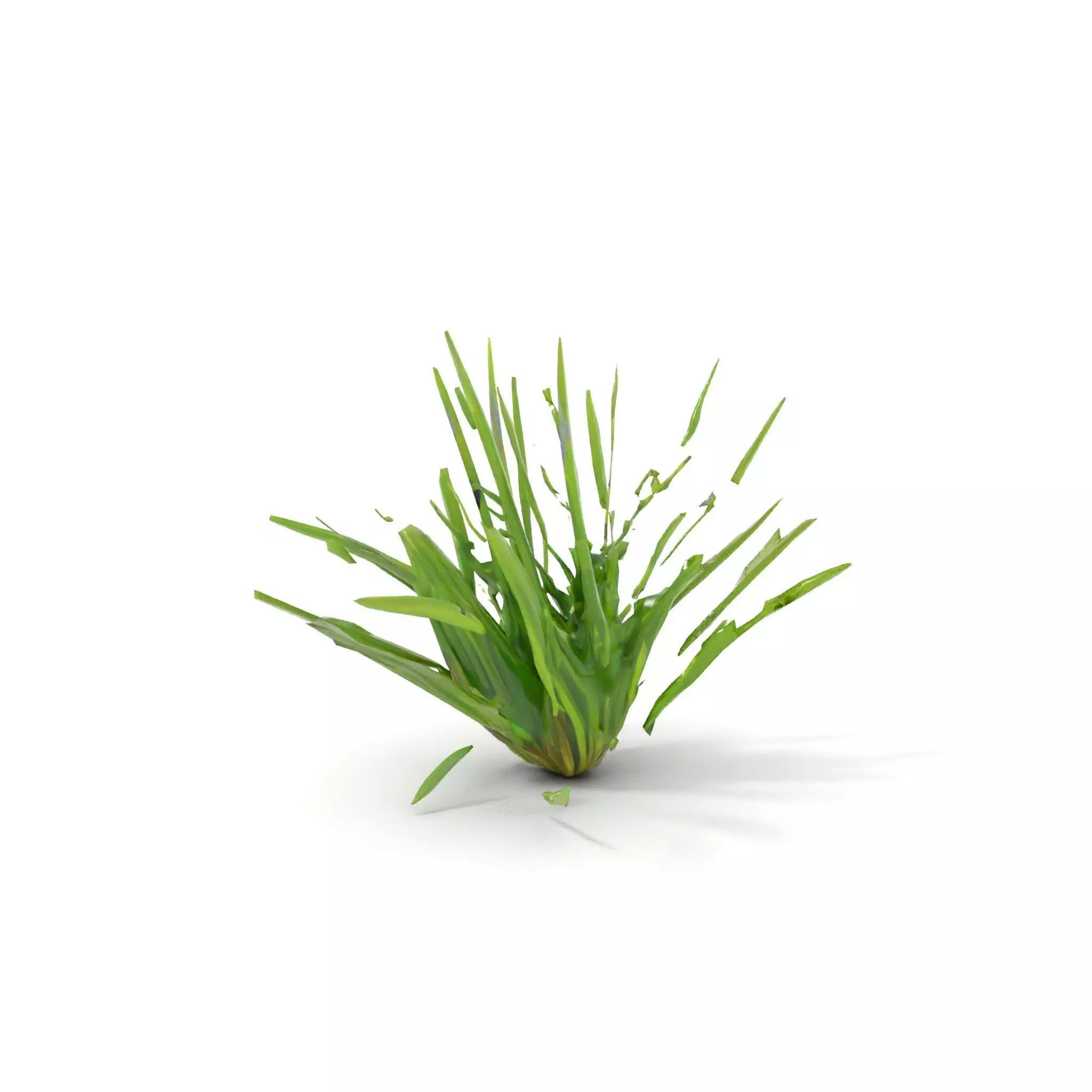 Green Grass Cluster model pack Low-poly 3D model_8