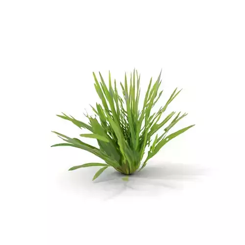 Green Grass Cluster model pack Low-poly 3D model