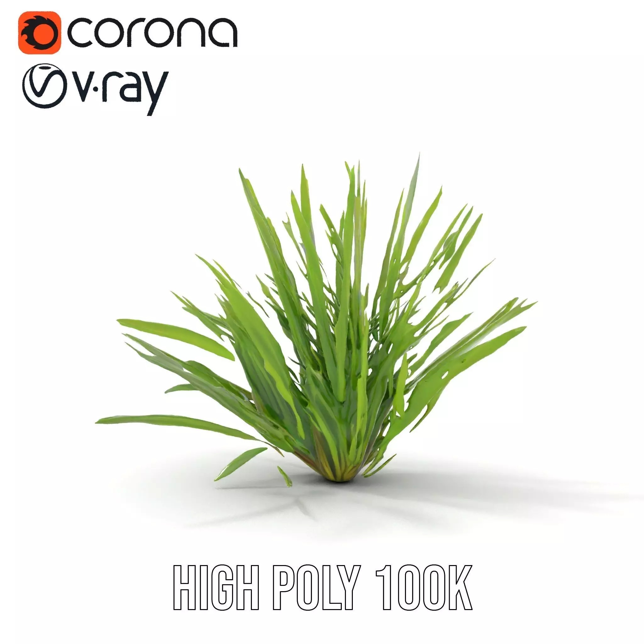 Green Grass Cluster model pack Low-poly 3D model_24