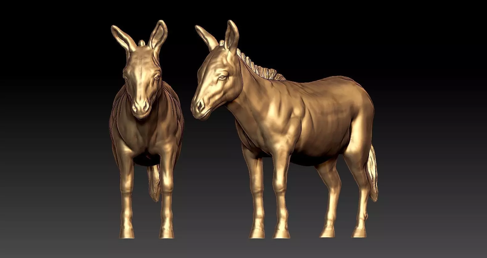 Donkey Free 3D model
