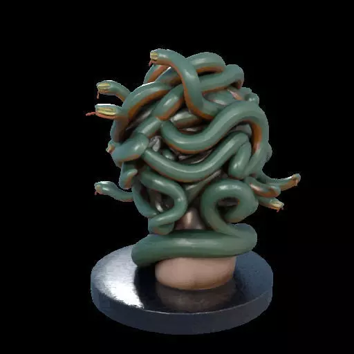 2156  Medusa Gorgon Head 3D Model  magic 3D print model_16