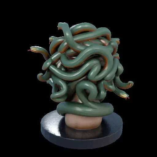 2156  Medusa Gorgon Head 3D Model  magic 3D print model_14