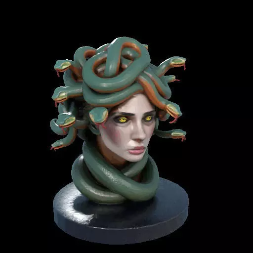 2156  Medusa Gorgon Head 3D Model  magic 3D print model_18