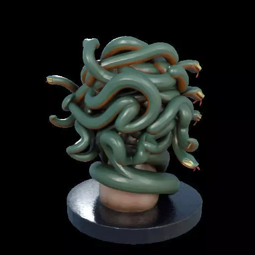 2156  Medusa Gorgon Head 3D Model  magic 3D print model_12