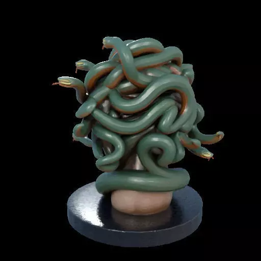 2156  Medusa Gorgon Head 3D Model  magic 3D print model_15
