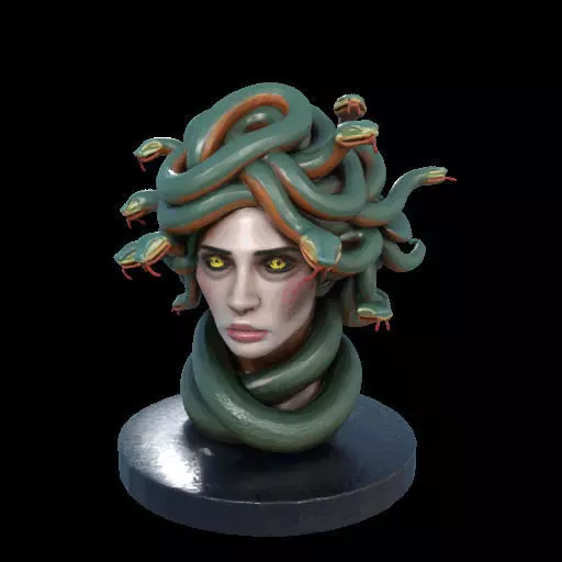 2156  Medusa Gorgon Head 3D Model  magic 3D print model_28