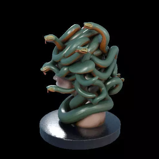 2156  Medusa Gorgon Head 3D Model  magic 3D print model_20