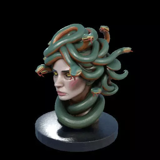 2156  Medusa Gorgon Head 3D Model  magic 3D print model_26