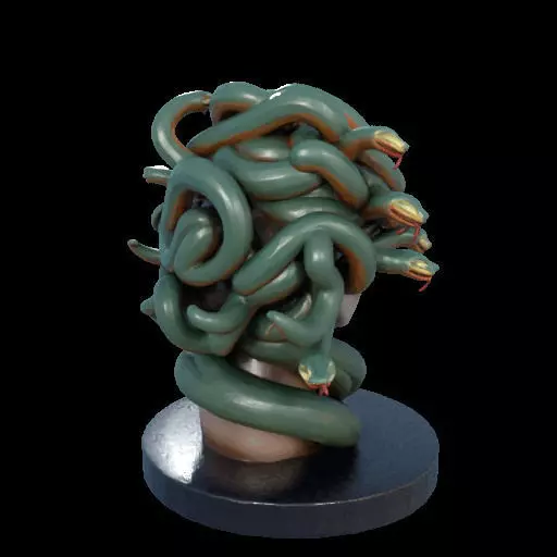 2156  Medusa Gorgon Head 3D Model  magic 3D print model_9