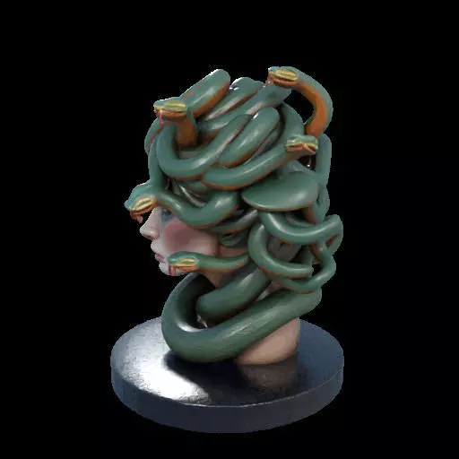 2156  Medusa Gorgon Head 3D Model  magic 3D print model_22
