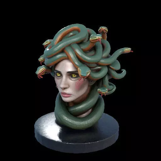 2156  Medusa Gorgon Head 3D Model  magic 3D print model_27