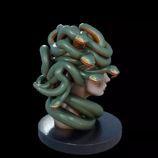 2156  Medusa Gorgon Head 3D Model  magic 3D print model_34