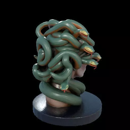 2156  Medusa Gorgon Head 3D Model  magic 3D print model_8