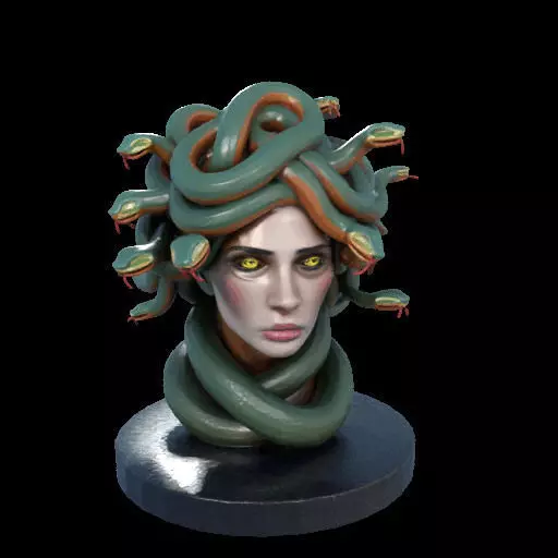 2156  Medusa Gorgon Head 3D Model  magic 3D print model_7