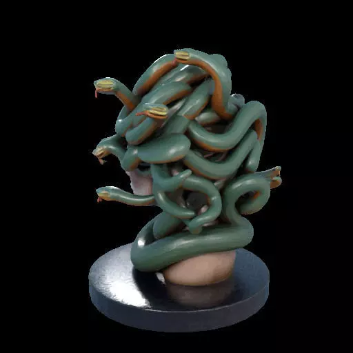 2156  Medusa Gorgon Head 3D Model  magic 3D print model_19