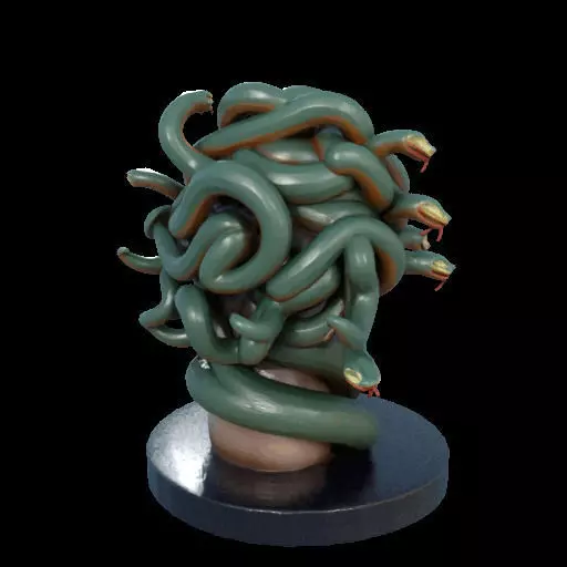 2156  Medusa Gorgon Head 3D Model  magic 3D print model_10