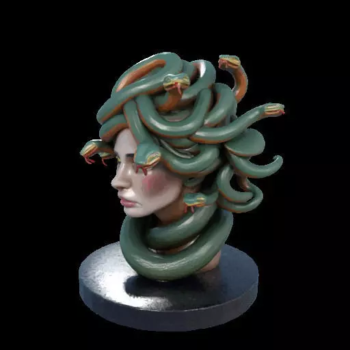 2156  Medusa Gorgon Head 3D Model  magic 3D print model_25