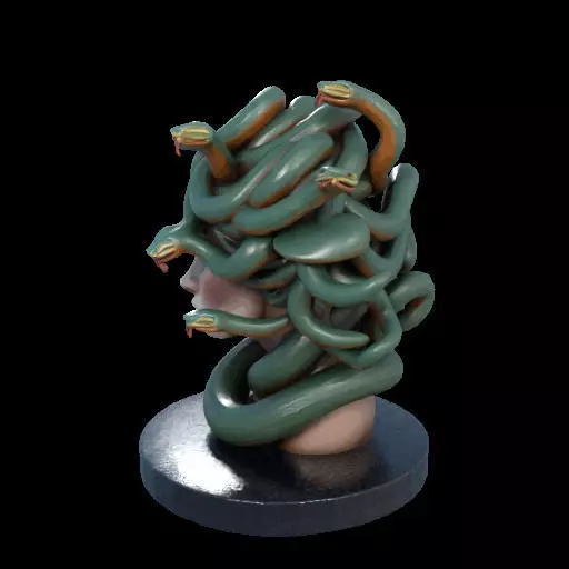 2156  Medusa Gorgon Head 3D Model  magic 3D print model_21