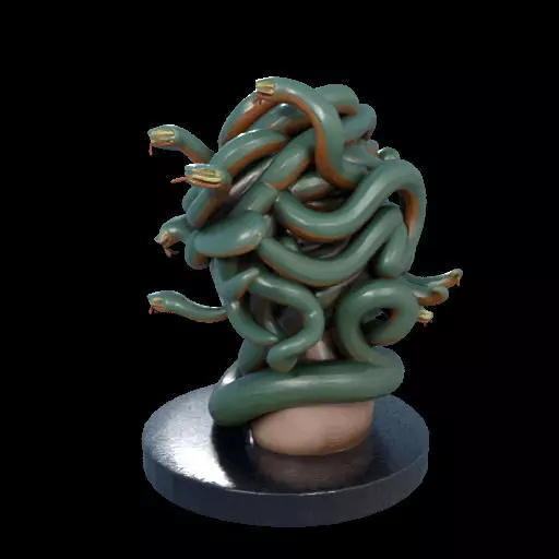 2156  Medusa Gorgon Head 3D Model  magic 3D print model_17
