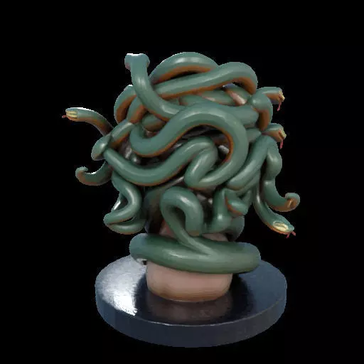 2156  Medusa Gorgon Head 3D Model  magic 3D print model_13